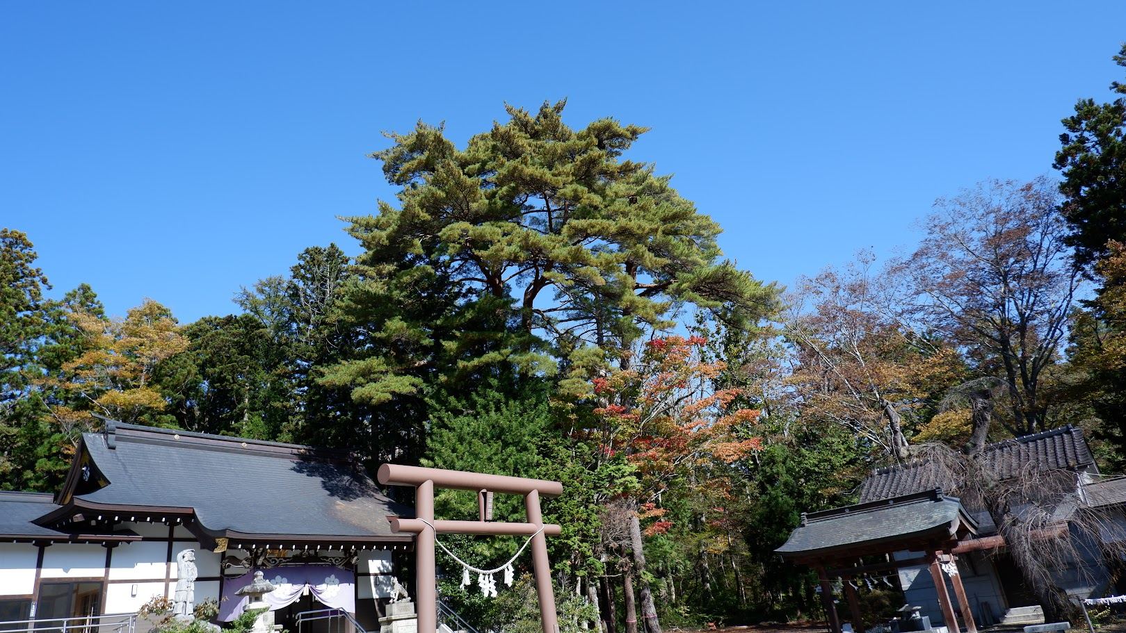 鳥居のある境内風景