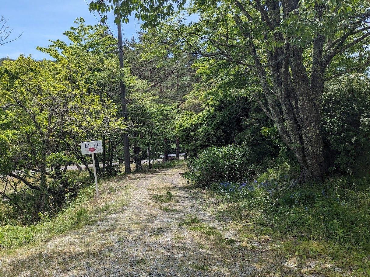 新緑の小径