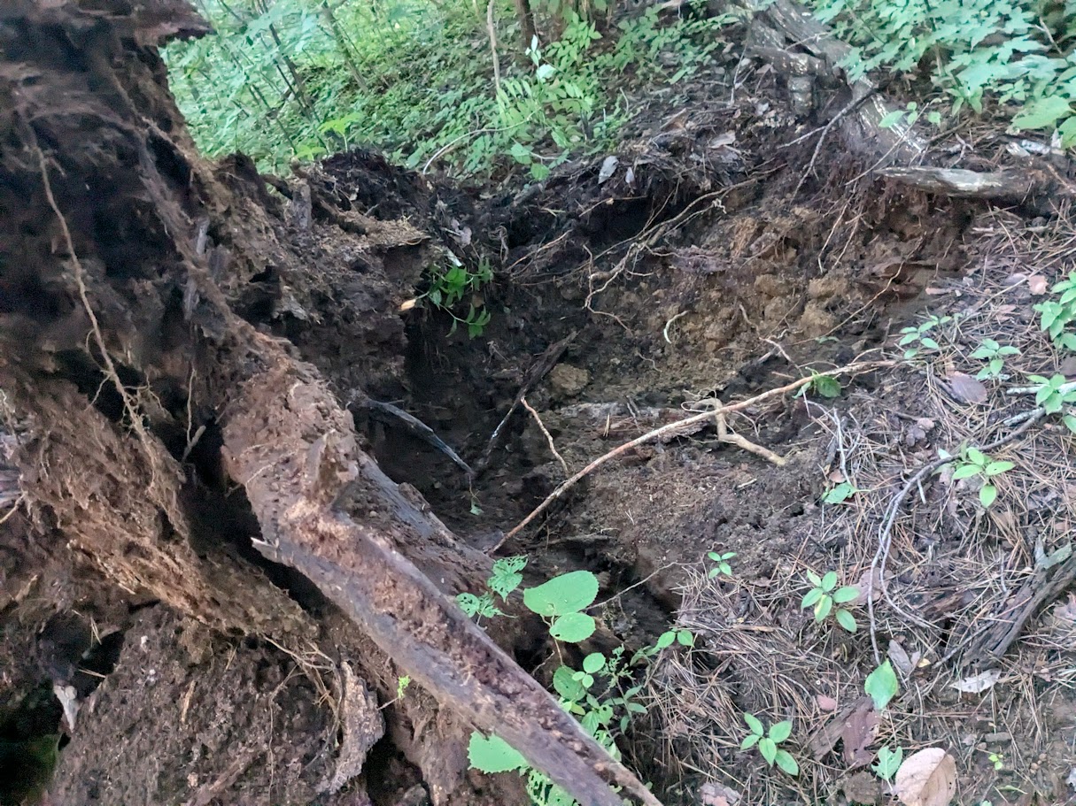 虎捕山へ向かう山径