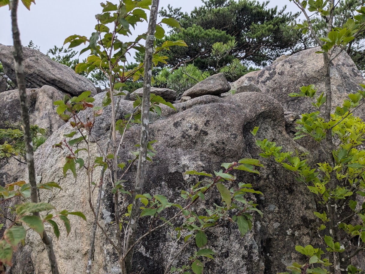 山あいに広がる風景