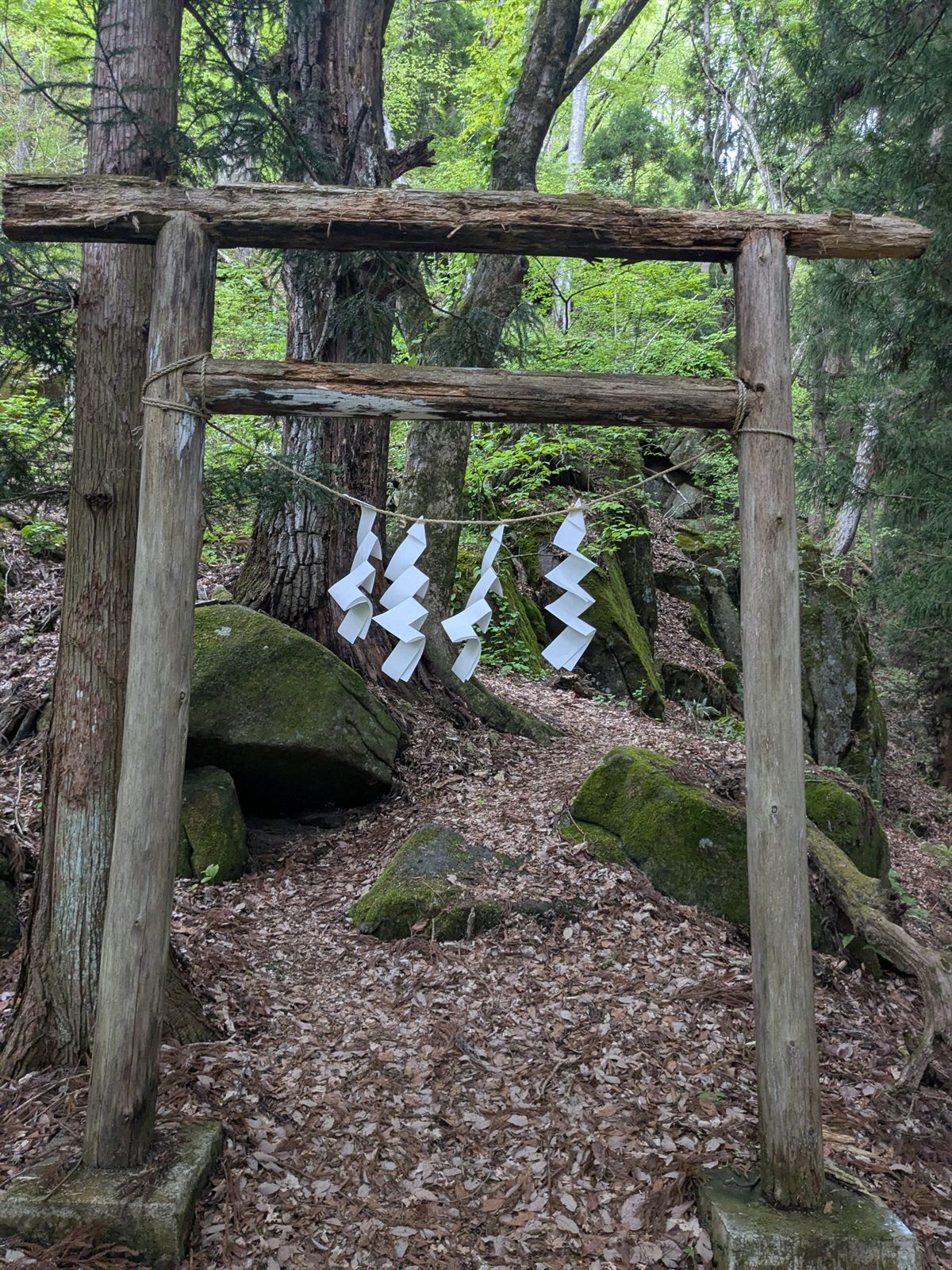 虎捕洞へ向かう木鳥居と注連縄