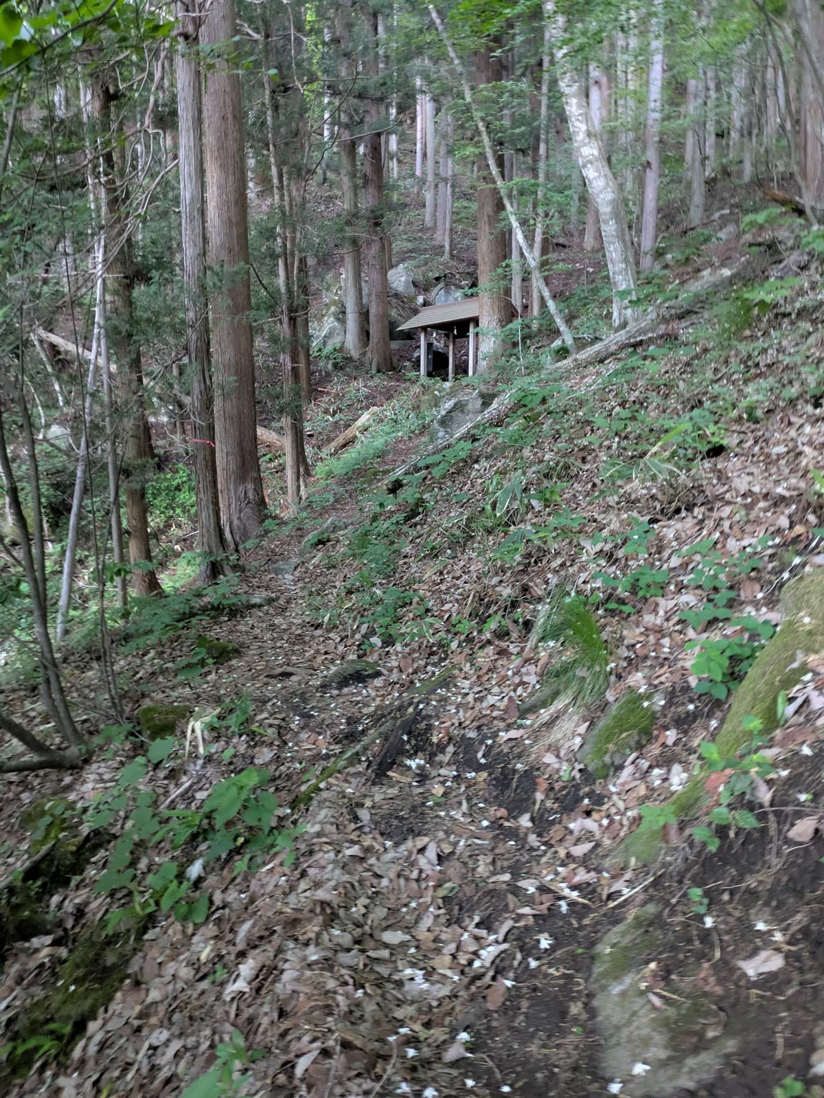 手水所が見える山道